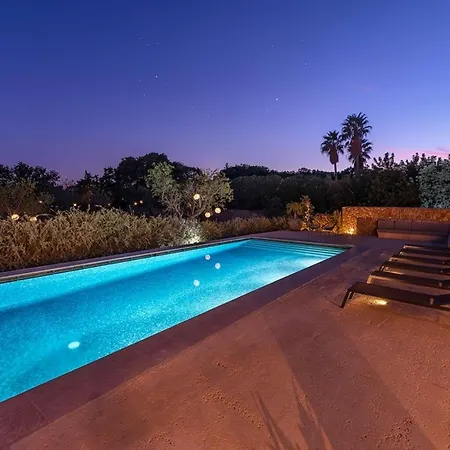 Pelut * פוינסה