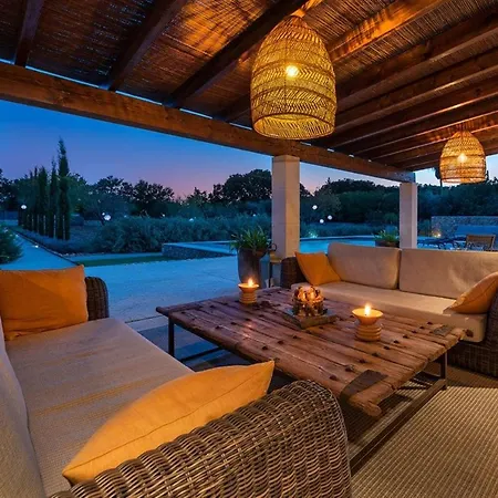 Pelut * פוינסה