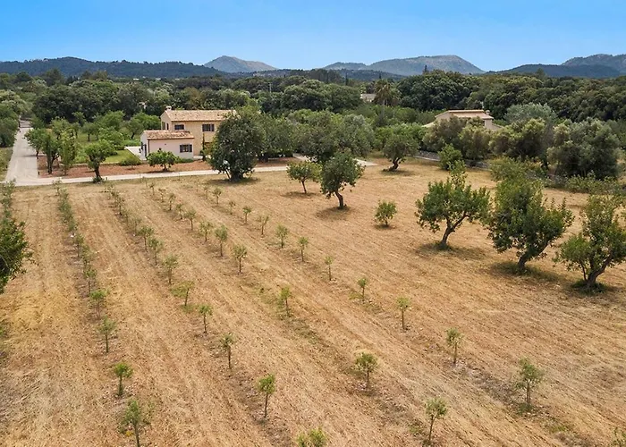 Pelut Villa Pollenca