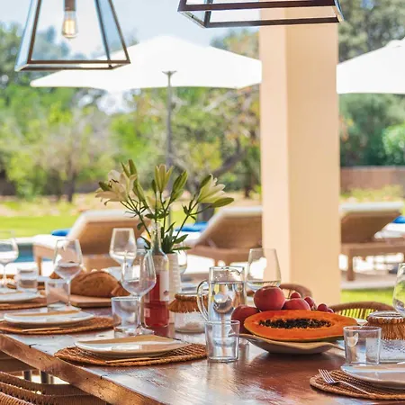 Pelut * פוינסה